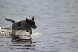 IMG 0402